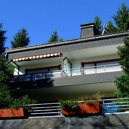 Ferienwohnung Napierski Виллинген Экстерьер фото